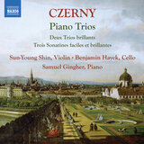 Sonatina for Piano Trio in A Minor, Op. 104 No. 3: II. Andantino con variazioni