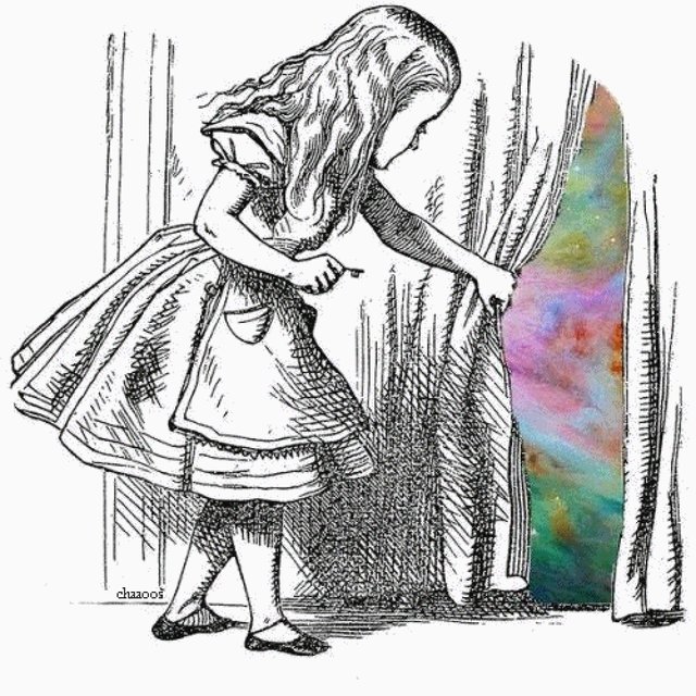 Journey Through a Wonderland
