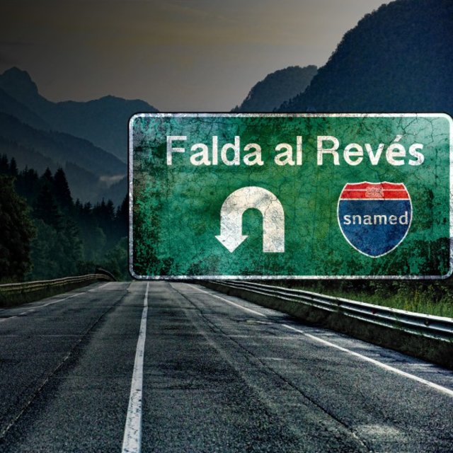 Falda al Revés