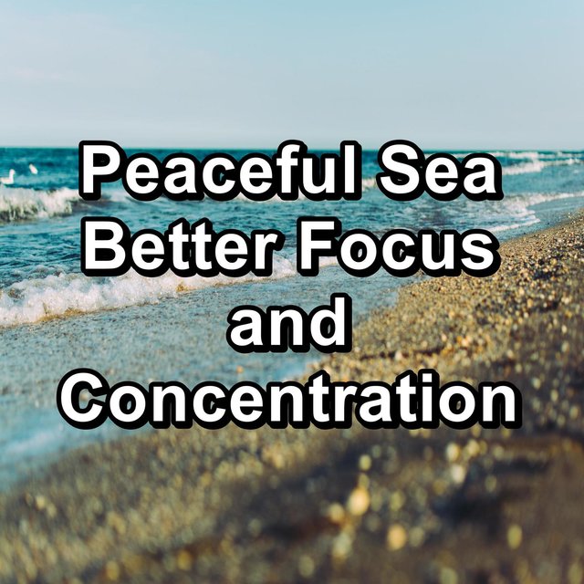 Peaceful Sea Better Focus and Concentration