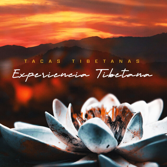 Experiencia Tibetana