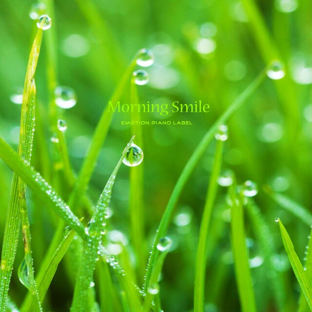 Morning Smile