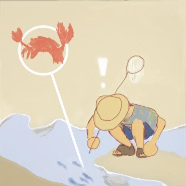 Tide Pools