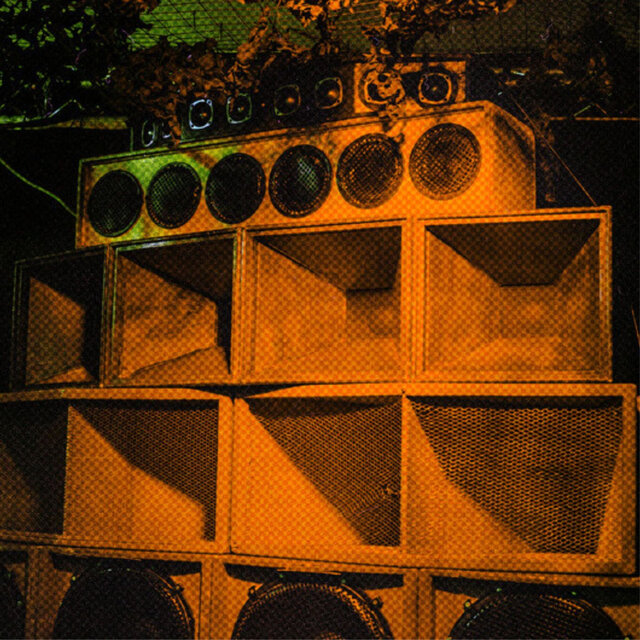 Dancehall Rockin