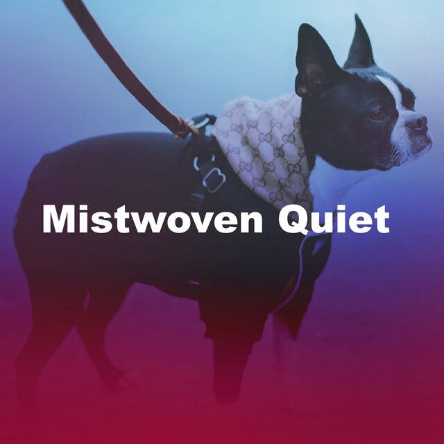 Mistwoven Quiet