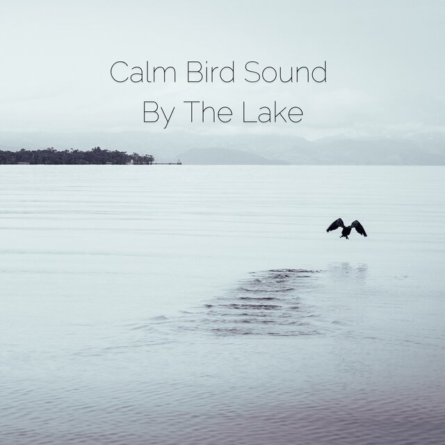 Calm Bird Sound By The Lake