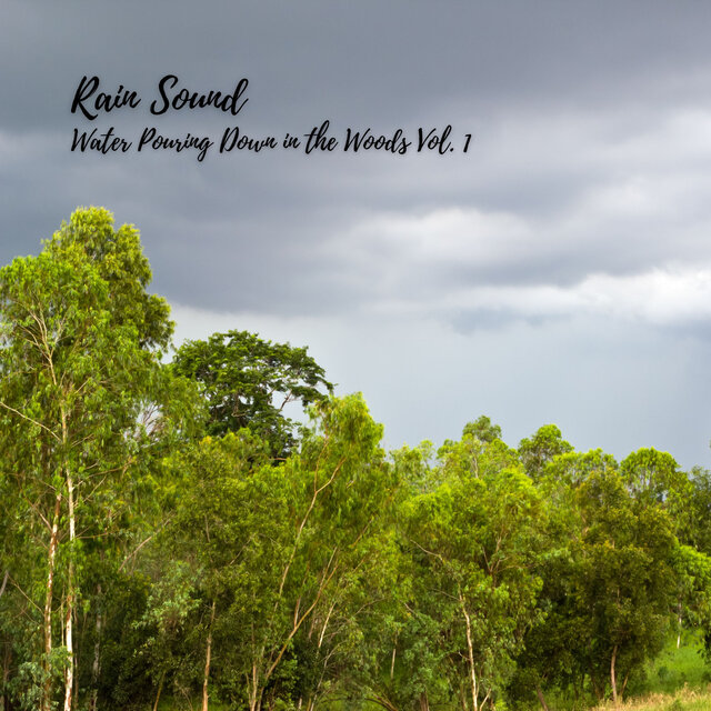 Rain Sound: Water Pouring Down in the Woods Vol. 1