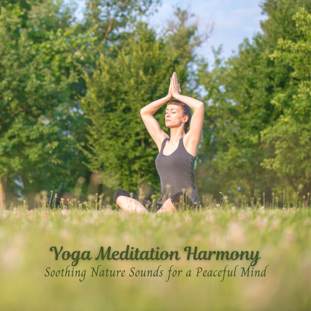 Yoga Meditation Harmony: Soothing Nature Sounds for a Peaceful Mind
