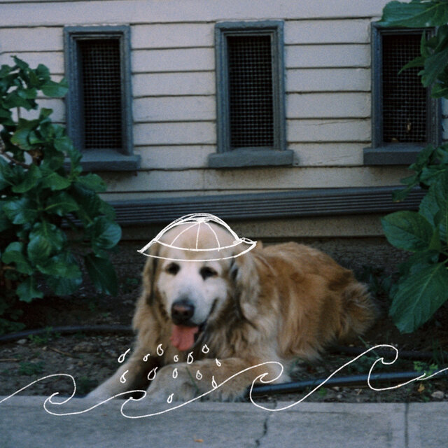 Good Boy
