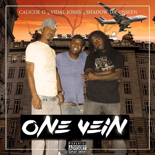 One Vein