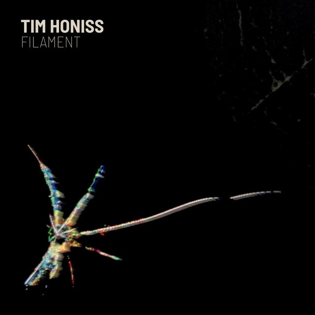 Cover art for album Filament by Tim Honiss