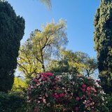 Seasons (feat. CapzLock)