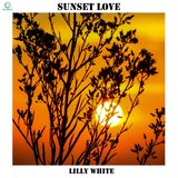 Sunset Love