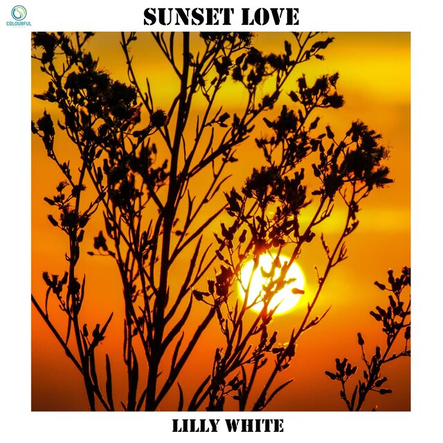 Sunset Love
