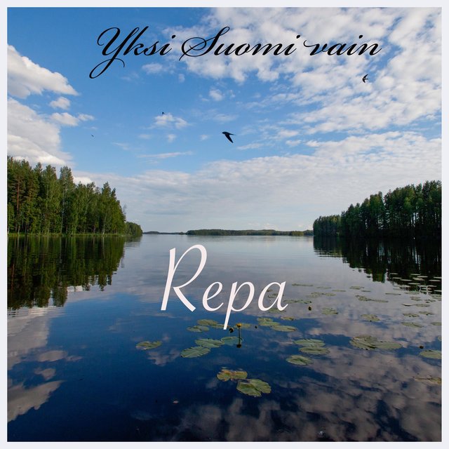Yksi suomi vain