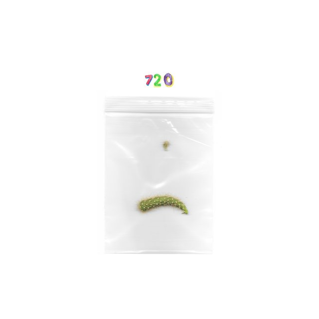 720