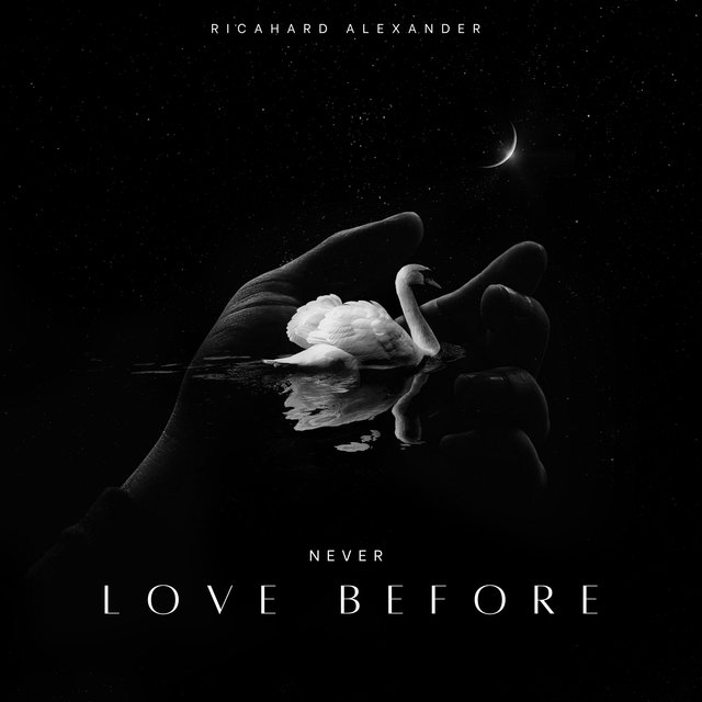 NEVER LOVE BEFORE