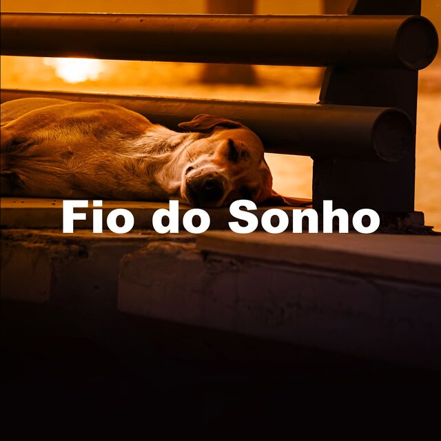 Fio do Sonho