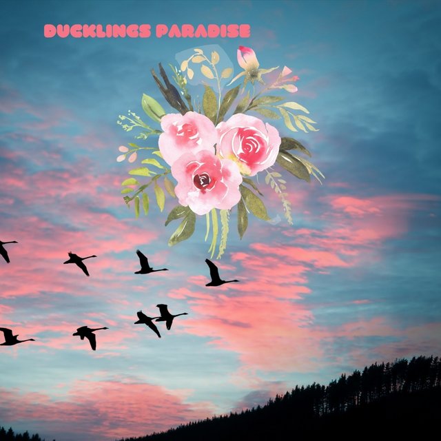 Ducklings Paradise