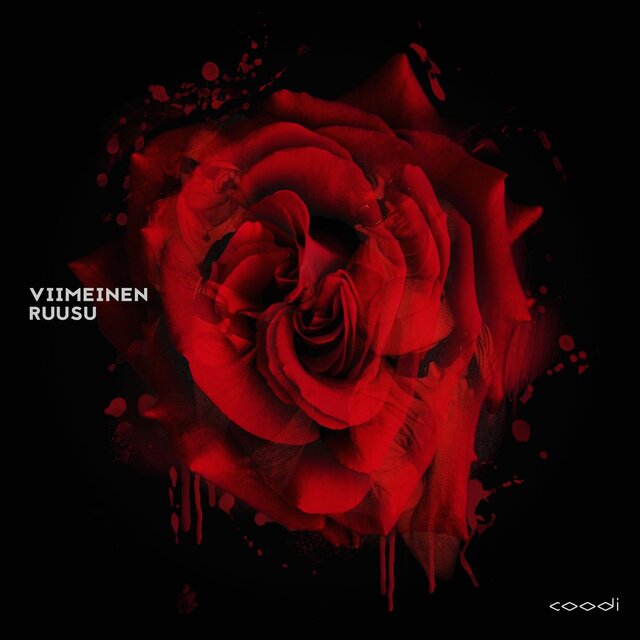Viimeinen ruusu
