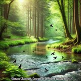Oiseaux et Eau, Rivière Coulant dans la Forêt