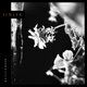 Cover art for album Wallflowers by Jinjer