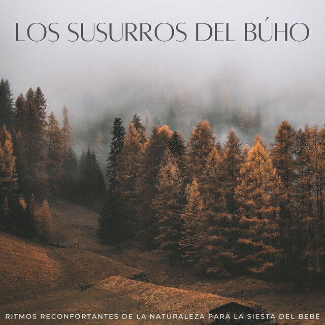 Los Susurros Del Búho: Ritmos Reconfortantes De La Naturaleza Para La Siesta Del Bebé