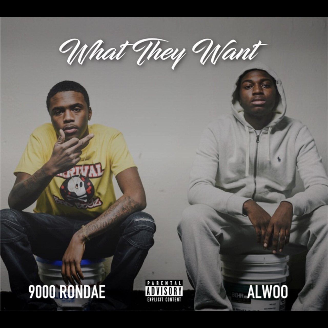 What They Want by 9000 Rondae & Alwoo on TIDAL