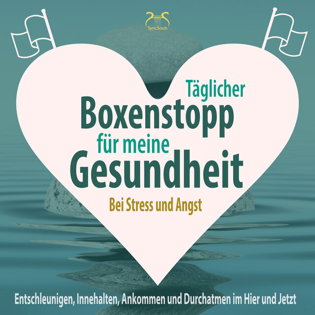 Täglicher Boxenstopp für meine Gesundheit! Entschleunigen, Innehalten, Ankommen und Durchatmen im Hier und Jetzt - Bei Stress und Angst (Ungekürzt)