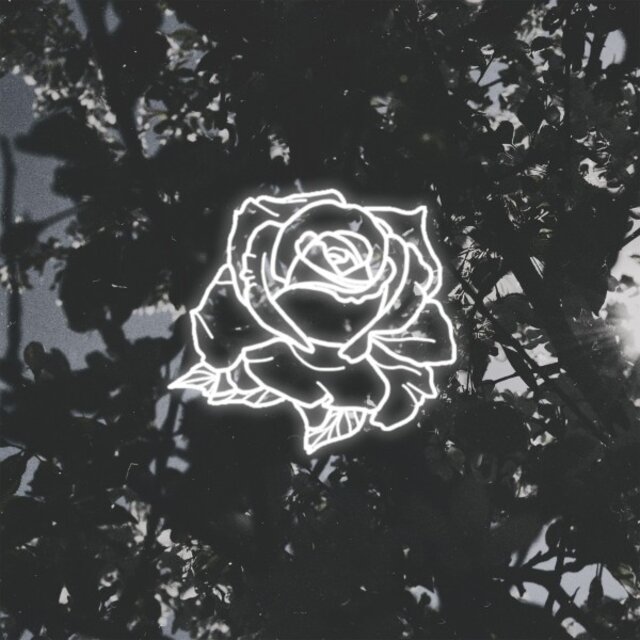 Rxborn Trinity