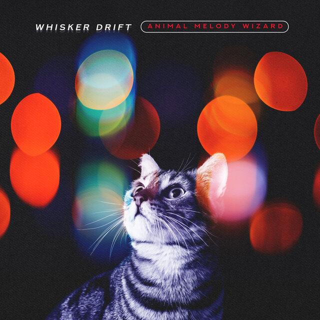 Whisker Drift
