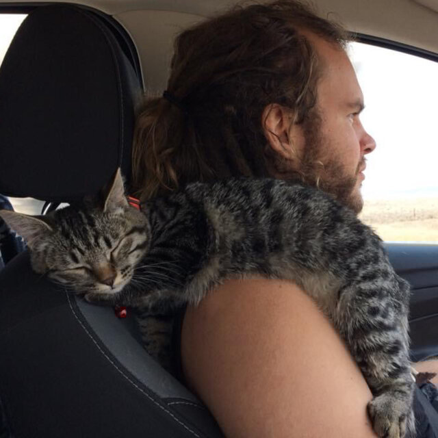 9 lives