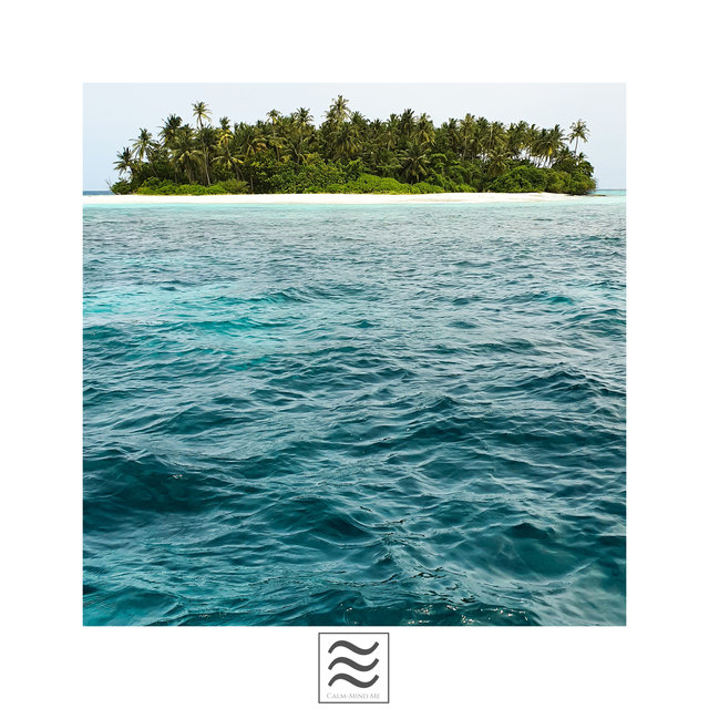 Fine Sounds of Calm Noisy Tones of the Sea and Ocean