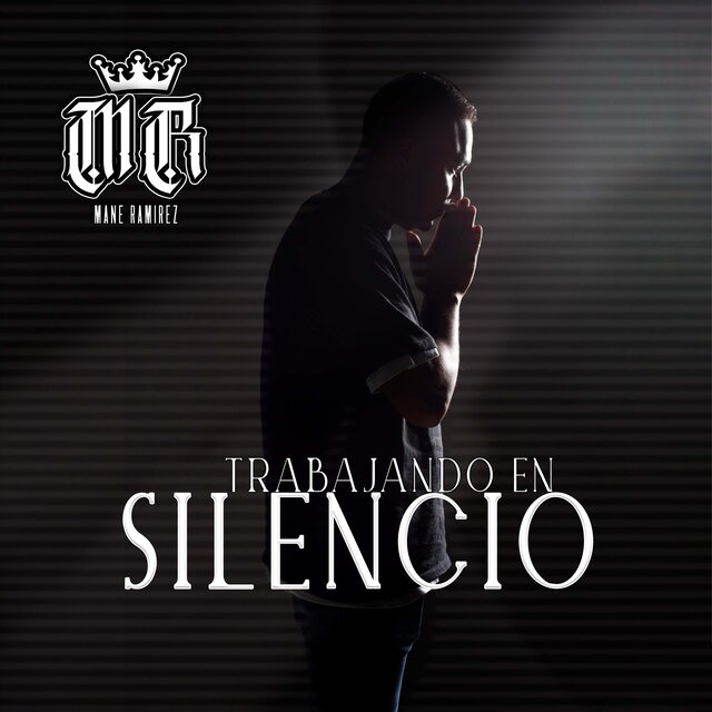 Trabajando En Silencio