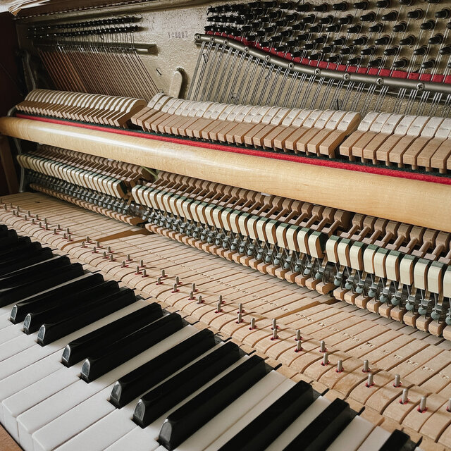 Golden Hour (Piano Arrangement)