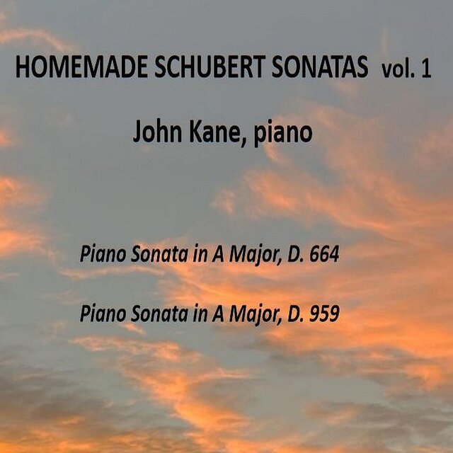 Homemade Schubert Sonatas, Vol. 1