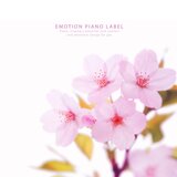 Portrait of springtime