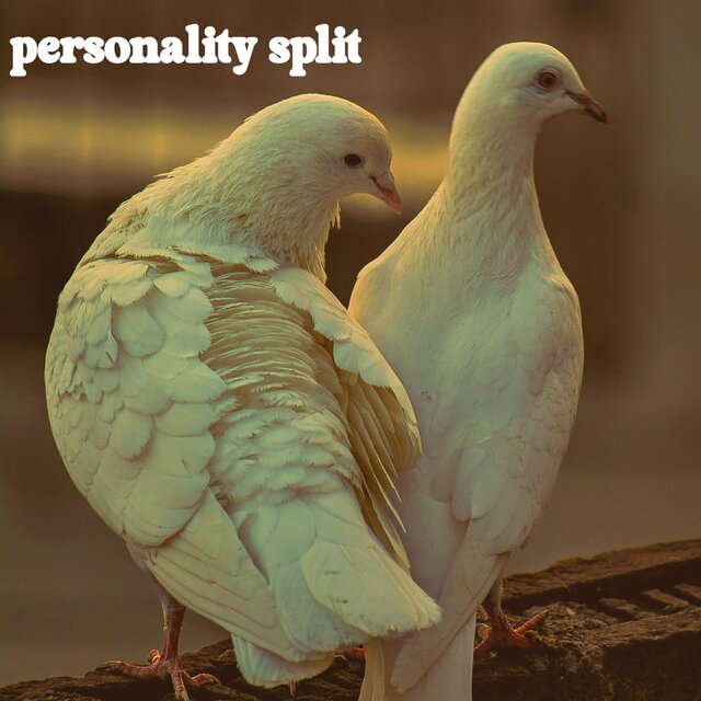 personality split