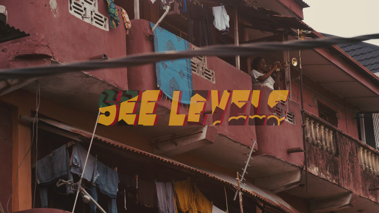 See Level (feat. Olamide)