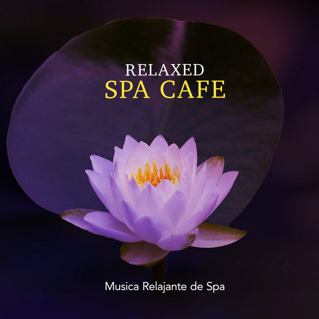 Relaxed Spa Cafe
