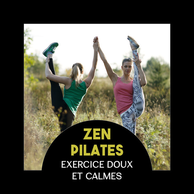Zen Pilates (Exercice doux et calmes, Meilleur musique instrumentale pour la détente (Nature, Ondulations océaniques, New Age))