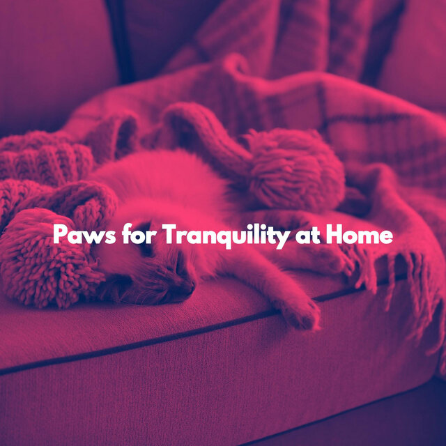 Paws for Tranquility at Home