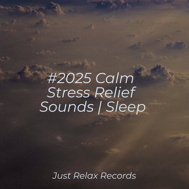 #2025 Calm Stress Relief Sounds | Sleep