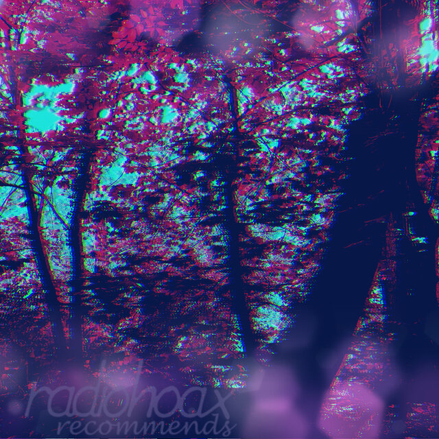 Cover art for album radiohoax recommends by User