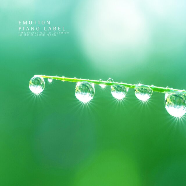 Piano With A Calm Rain (Nature Ver.)