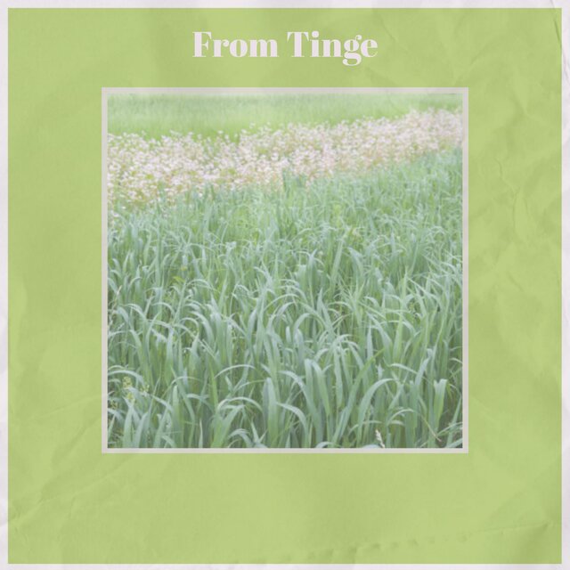 From Tinge