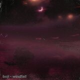 Windfall (feat. Shangrong Jiang)