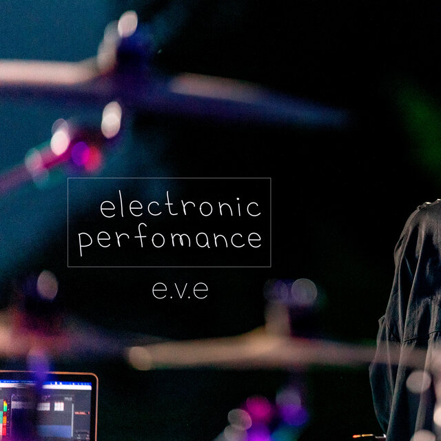 Electronic Performance