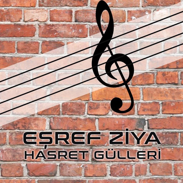 Hasret Gülleri (Enstrümantal)