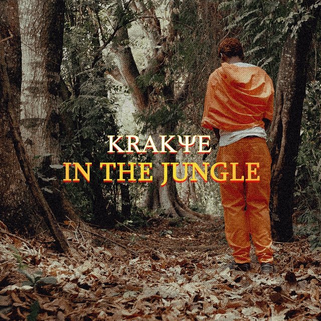 In the Jungle